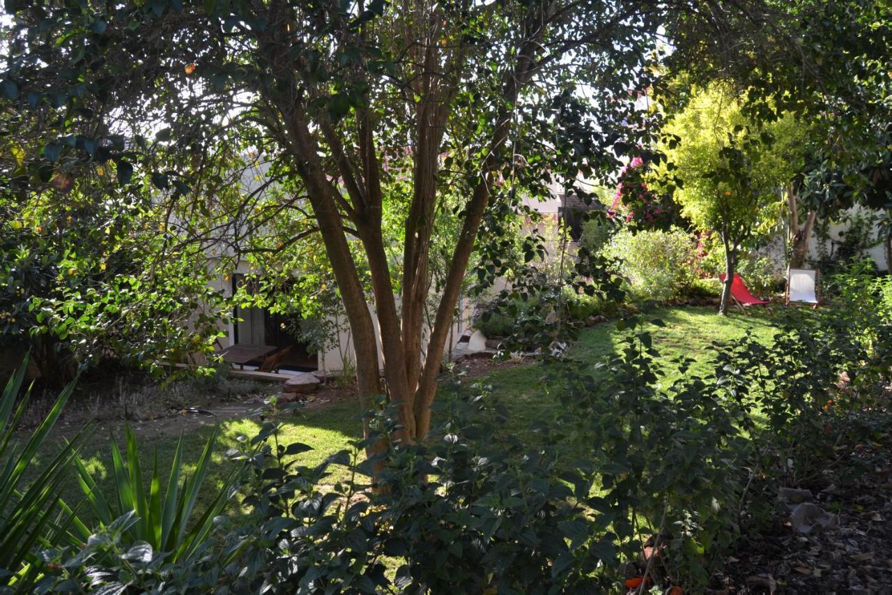 Garden In The City Silves Esterno foto